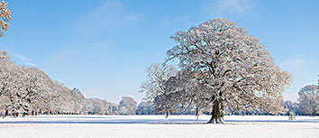 马德里竞技遭逆转，晋级悬念难解