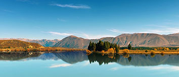 墨西哥篮球赛季主力球员受伤离场影响大