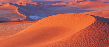 猛龙击败马刺，实力傲视群雄惊艳全场